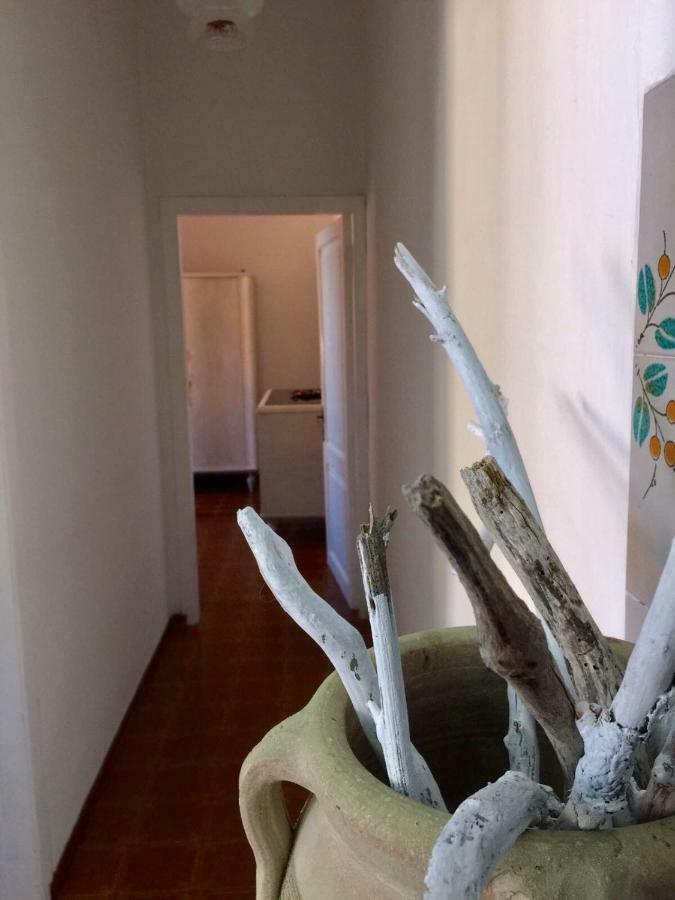 Casa Lividonia Apartment Порто Санто Стефано Екстериор снимка